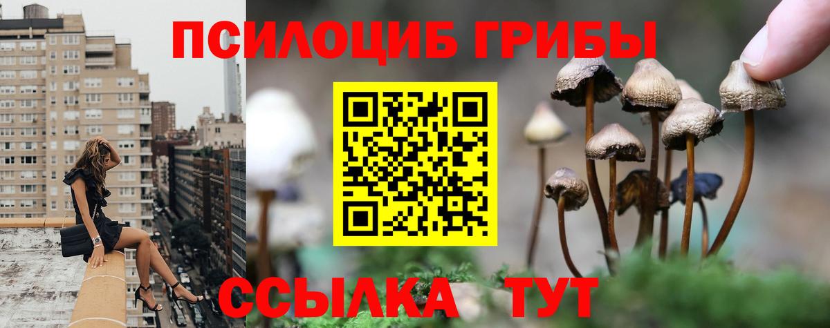 Псилоцибиновые грибы GOLDEN TEACHER  Вход с VPN  Приморско-Ахтарск 