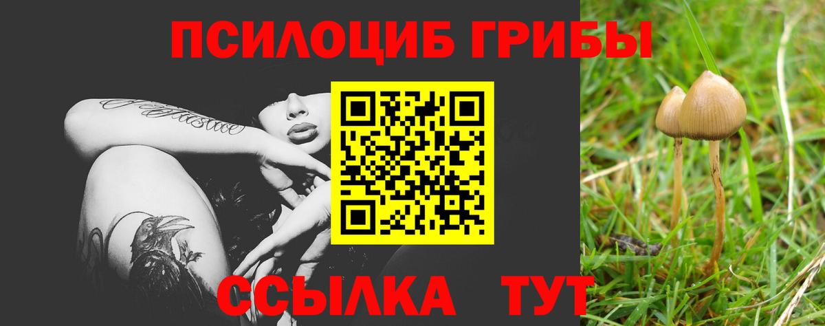 Галлюциногенные грибы Cubensis Приморско-Ахтарск