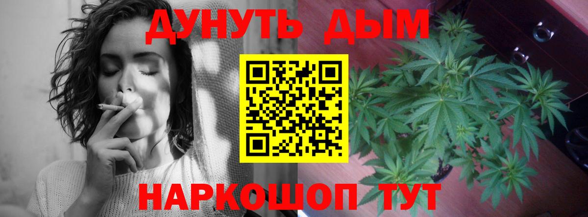 Конопля AK-47 Приморско-Ахтарск